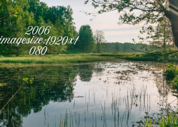 2006 imagesize:1920x1080