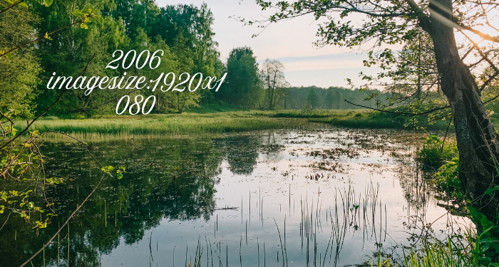 2006 imagesize:1920x1080