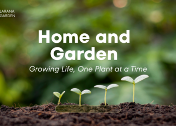 Transform Your Home and Garden with Travertine