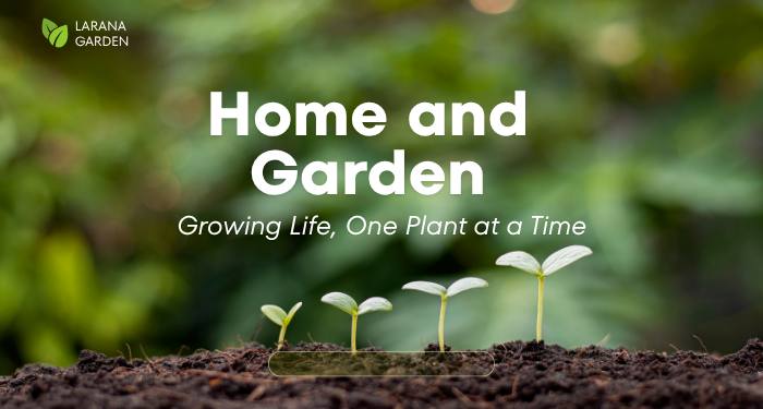 Transform Your Home and Garden with Travertine